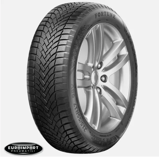 Fortune tires NIVALIS WINTER PRO  245/45 R18 100 V  